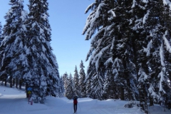 ski nordique au col du Barrioz