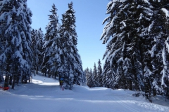 ski nordique au col du Barrioz